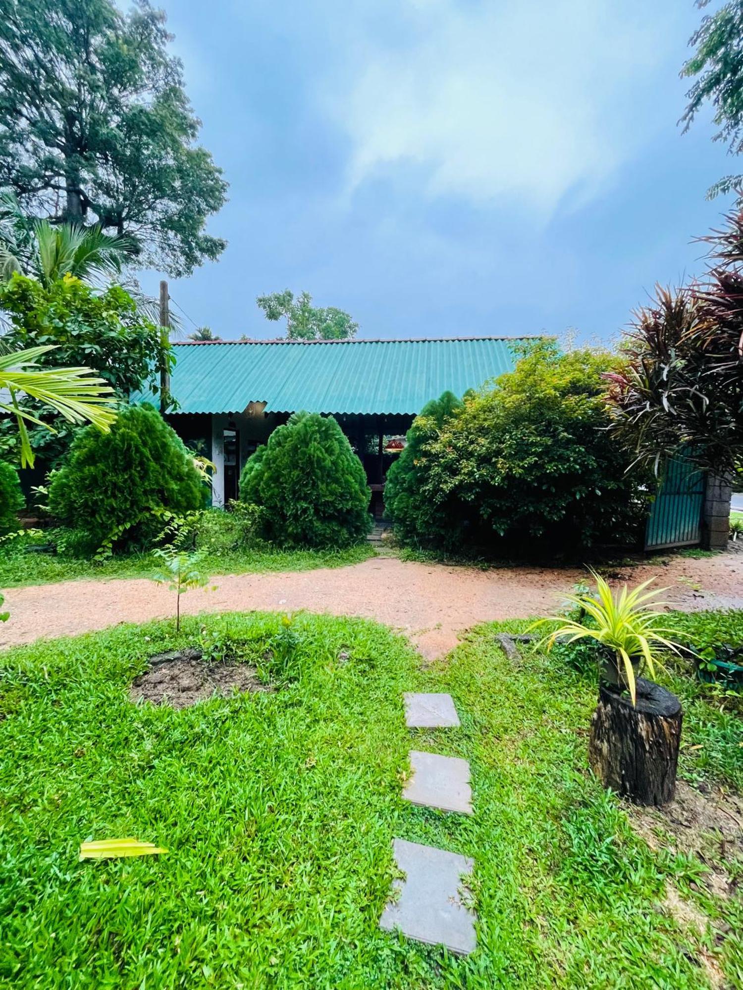Sigiri Shen Residence Sigiriya Exterior photo